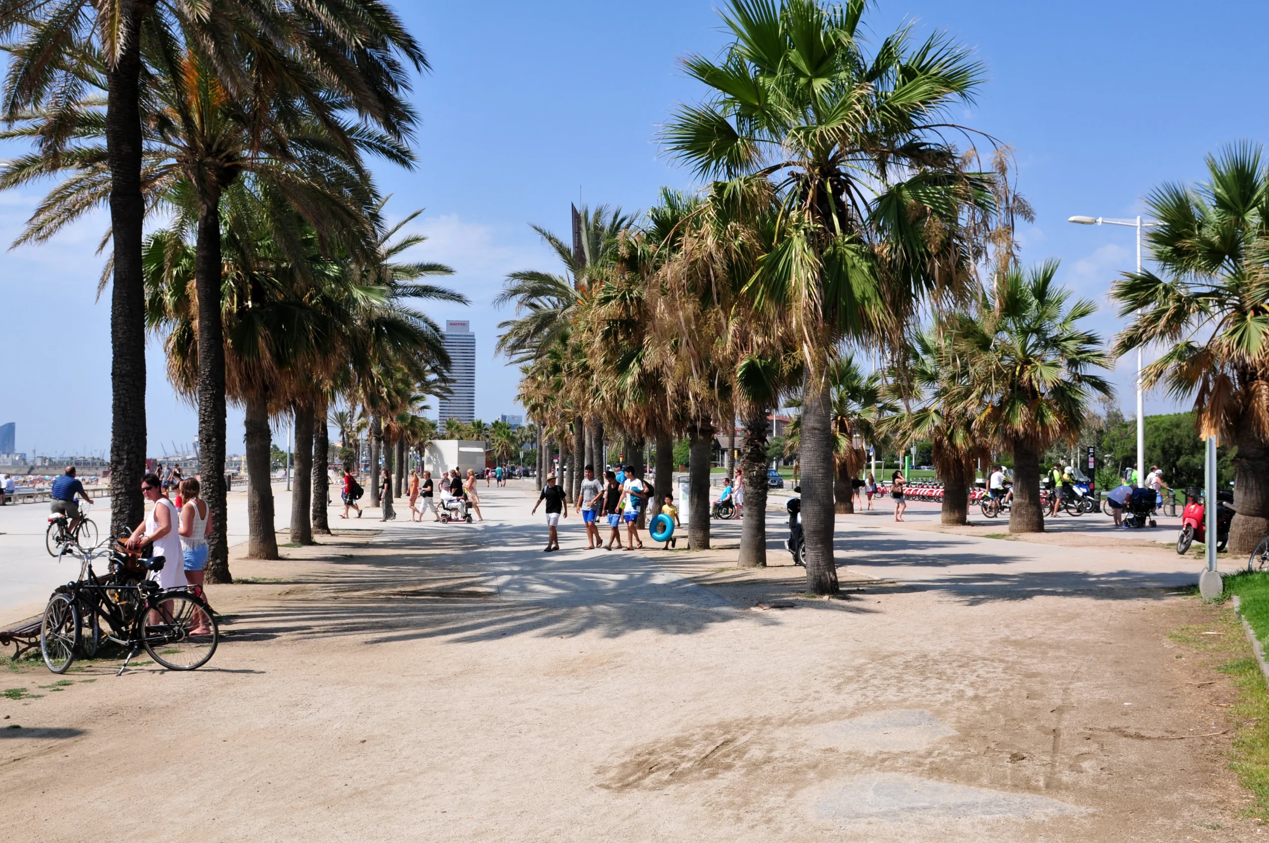 beaches